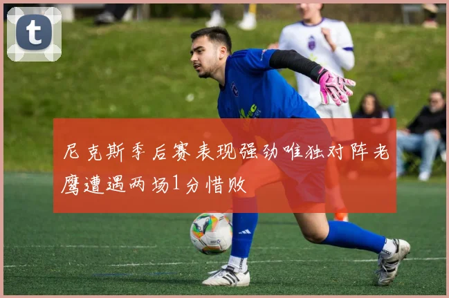 尼克斯季后赛表现强劲唯独对阵老鹰遭遇两场1分惜败